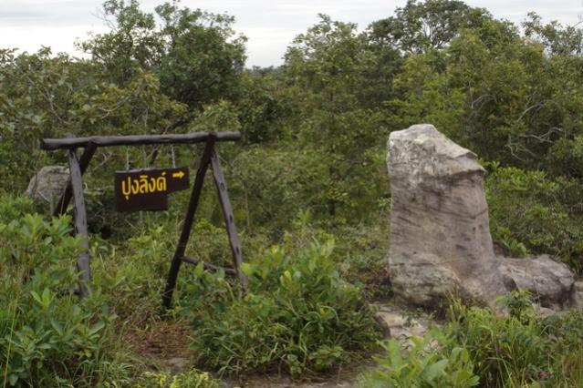 Name:  DSC02292.jpg
Views: 158
Size:  58.6 KB