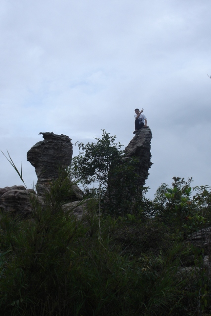 Name:  DSC02293.JPG
Views: 135
Size:  115.1 KB