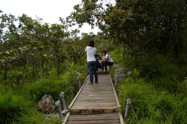 Name:  DSC02299.jpg
Views: 151
Size:  58.4 KB