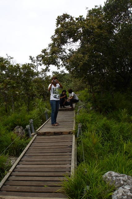 Name:  DSC02300.JPG
Views: 140
Size:  143.1 KB