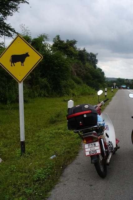 Name:  DSC02317.JPG
Views: 138
Size:  133.1 KB