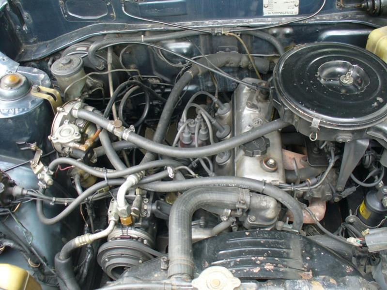 Name:  P1020566.jpg
Views: 1386
Size:  86.1 KB