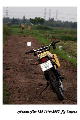 Name:  ball564654 (Small).jpg
Views: 990
Size:  32.8 KB