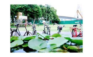 Name:  5.jpg
Views: 188
Size:  44.1 KB