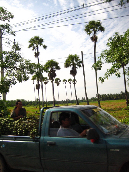 Name:  IMG_0229.jpg
Views: 282
Size:  131.3 KB
