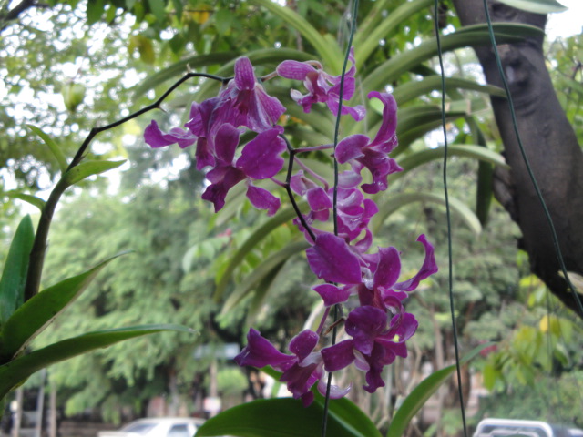 Name:  DSC04755.JPG
Views: 110
Size:  139.0 KB