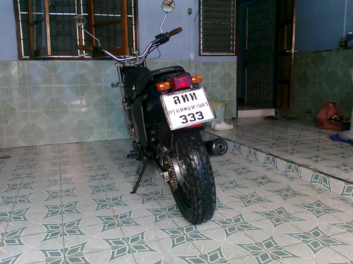 Name:  DOGGYDOG0022.jpg
Views: 1842
Size:  146.0 KB