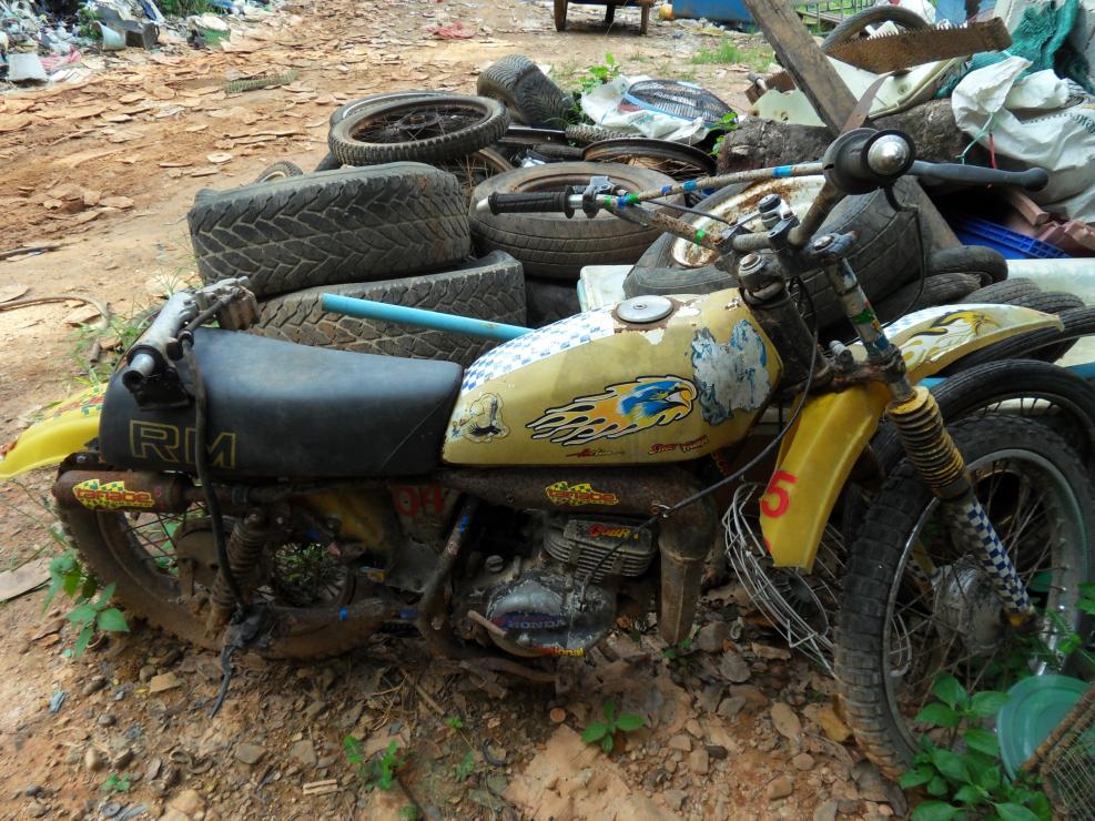 Name:  SDC11931.jpg
Views: 2437
Size:  156.6 KB