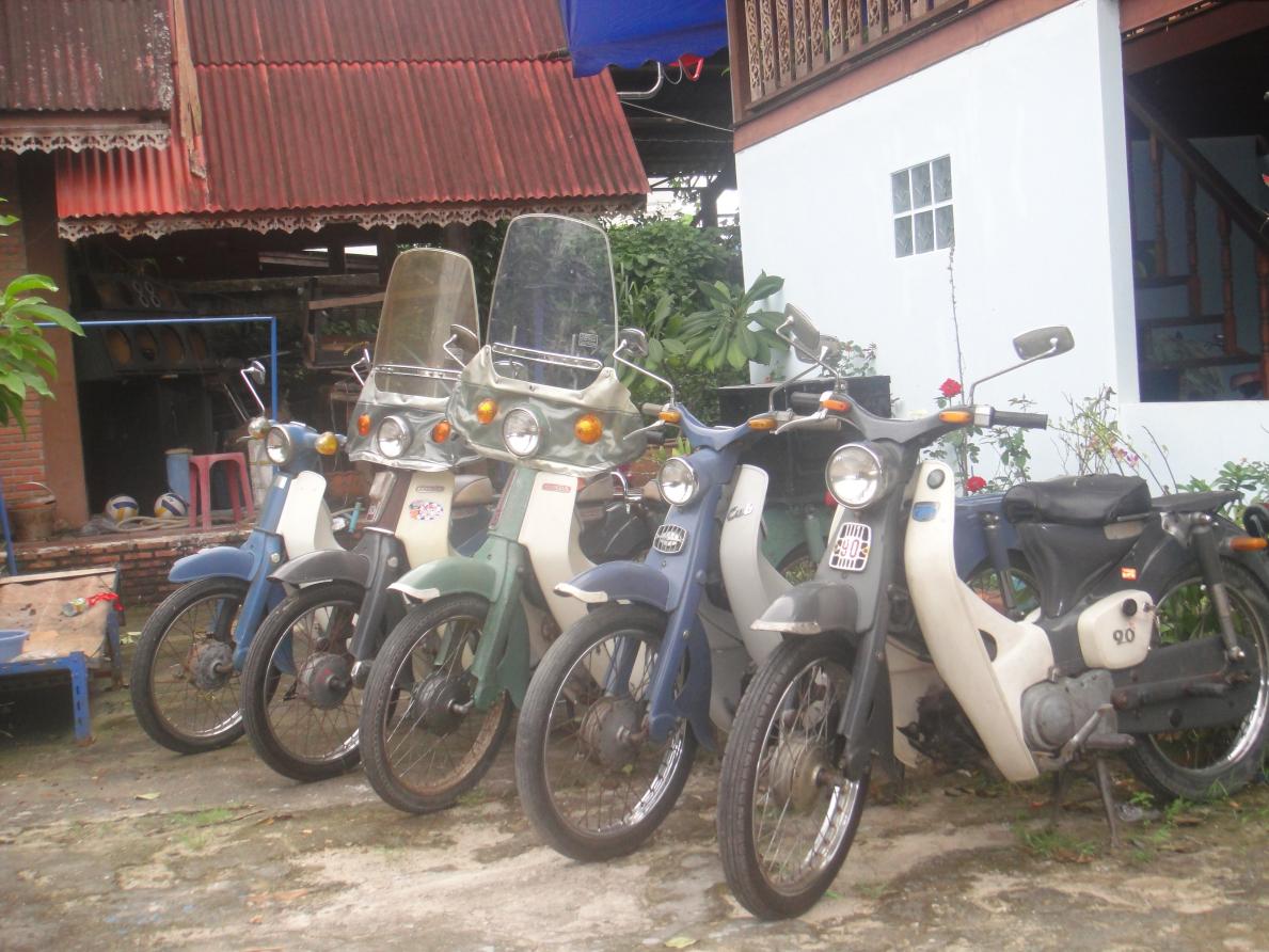 Name:  DSC00686.jpg
Views: 1380
Size:  146.4 KB
