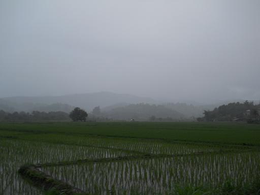 Name:  DSCN0502.JPG
Views: 225
Size:  74.5 KB