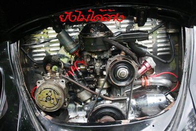 Name:  _MG_9982.jpg
Views: 409
Size:  94.0 KB