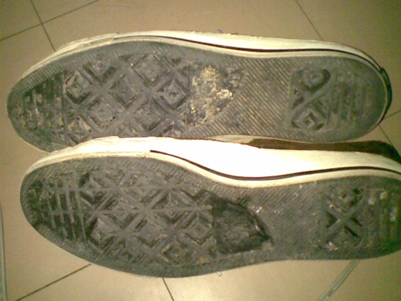 Name:  30082010(007).jpg
Views: 1286
Size:  146.9 KB