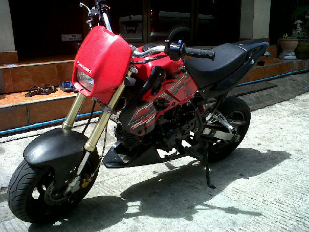 Name:  46574_427715244173_810069173_4766064_301426_n.jpg
Views: 128
Size:  101.4 KB