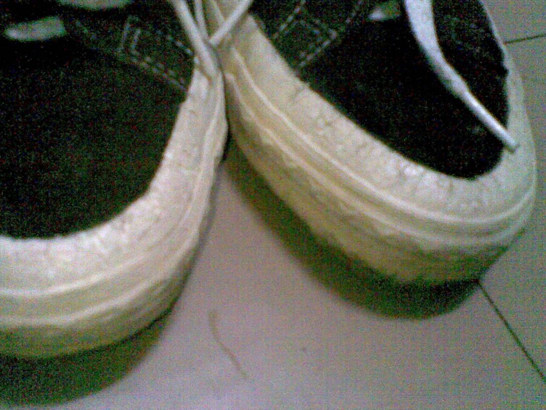 Name:  02092010(008).jpg
Views: 323
Size:  149.1 KB