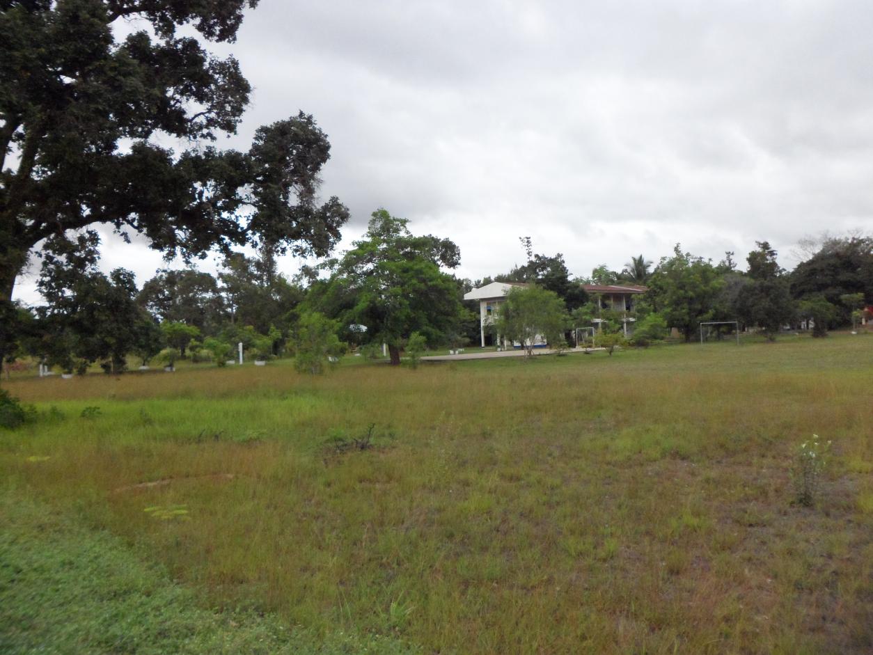 Name:  SAM_0870.jpg
Views: 93
Size:  146.6 KB