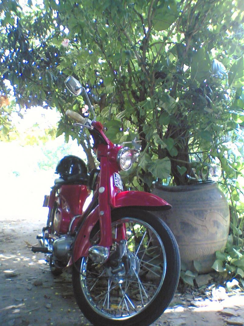 Name:  23082010(002).jpg
Views: 756
Size:  153.2 KB
