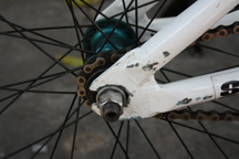 Name:  IMG_1604.JPG
Views: 1137
Size:  46.2 KB