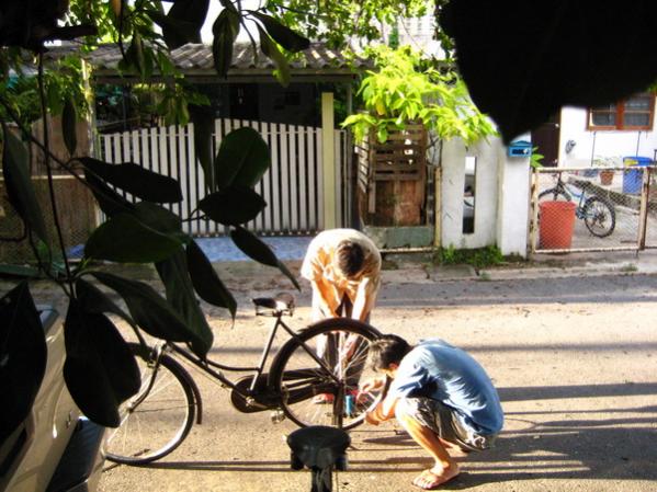 Name:  IMG_0252.jpg
Views: 222
Size:  56.7 KB