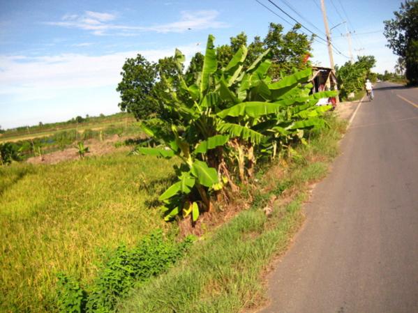 Name:  IMG_0278.jpg
Views: 220
Size:  53.5 KB