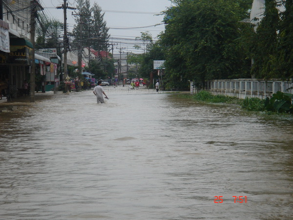 Name:  DSC04441_resize.JPG
Views: 1420
Size:  119.5 KB