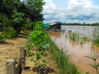 Name:  DSCF0508.jpg
Views: 438
Size:  83.1 KB