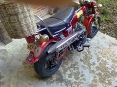 Name:  09092010233 (WinCE).jpg
Views: 161
Size:  18.3 KB