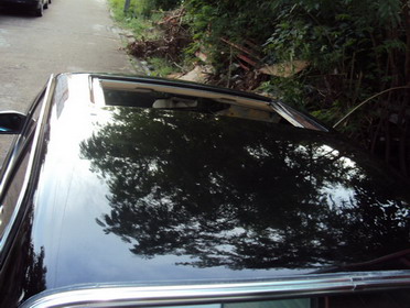 Name:  DSC08470_resize_resize.JPG
Views: 4093
Size:  61.6 KB