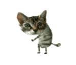 Name:  18_103716.jpg
Views: 500
Size:  2.3 KB