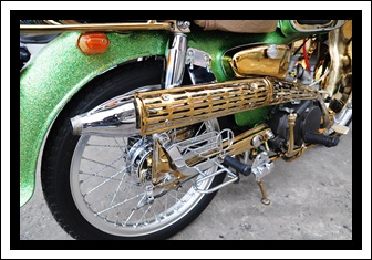 Name:  DSC_8369.jpg
Views: 5803
Size:  56.0 KB