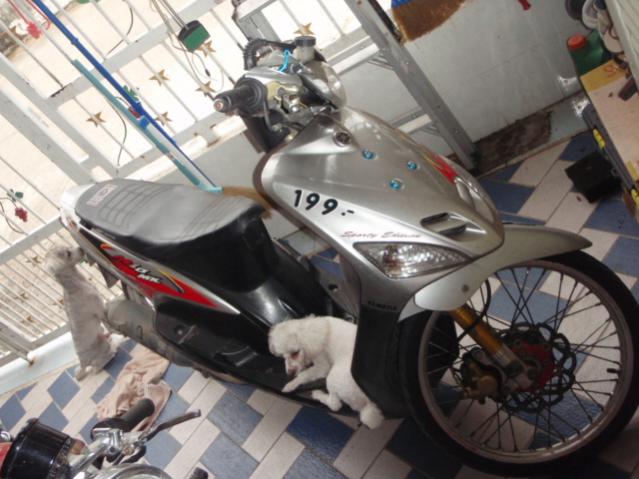Name:  P9010164.jpg
Views: 752
Size:  48.6 KB