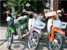 Name:  4rt.jpg
Views: 729
Size:  12.2 KB