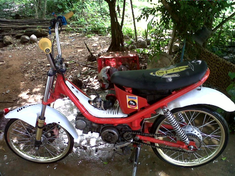 Name:  IMG00034-20100922-0848.jpg
Views: 222
Size:  154.7 KB