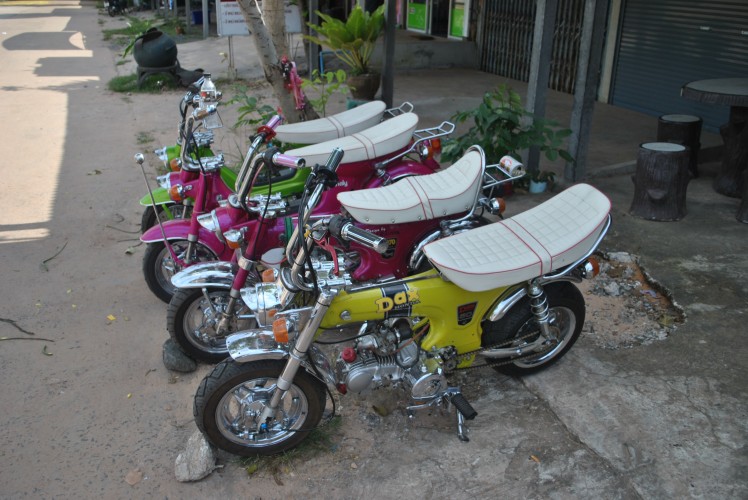 Name:  DSC_0659.jpg
Views: 94
Size:  111.9 KB