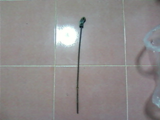 Name:  Photo-0066.jpg
Views: 518
Size:  16.3 KB