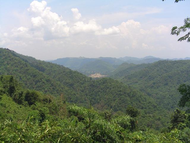 Name:  CIMG5436.JPG
Views: 407
Size:  90.8 KB