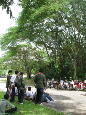 Name:  IMG_3112.jpg
Views: 130
Size:  49.3 KB