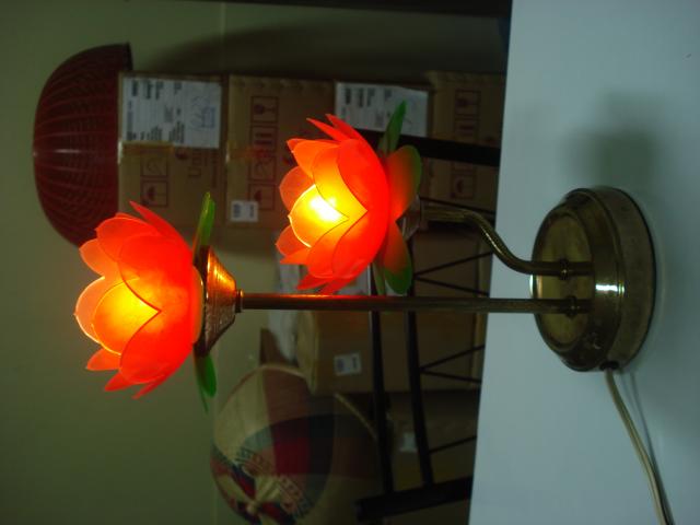 Name:  DSC03423.jpg
Views: 835
Size:  24.4 KB