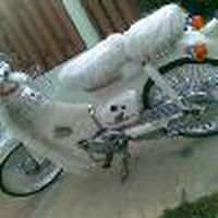 Name:  ppp.jpg
Views: 98
Size:  11.9 KB