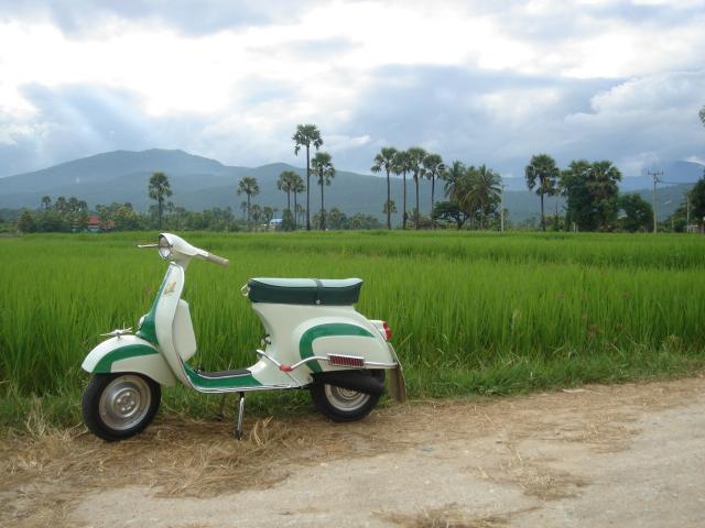 Name:  DSC02356.jpg
Views: 112
Size:  42.5 KB