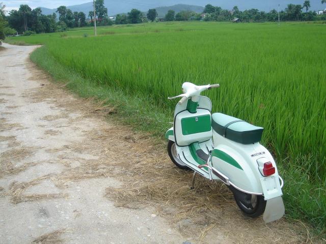 Name:  DSC02359.jpg
Views: 92
Size:  59.6 KB