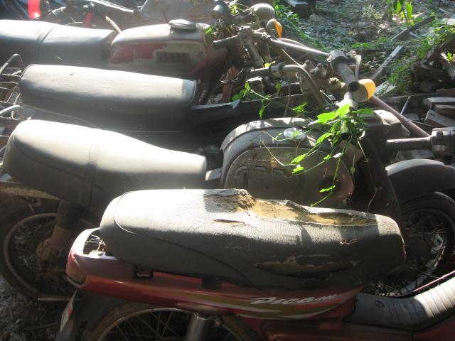 Name:  IMG_2898.jpg
Views: 1110
Size:  49.1 KB
