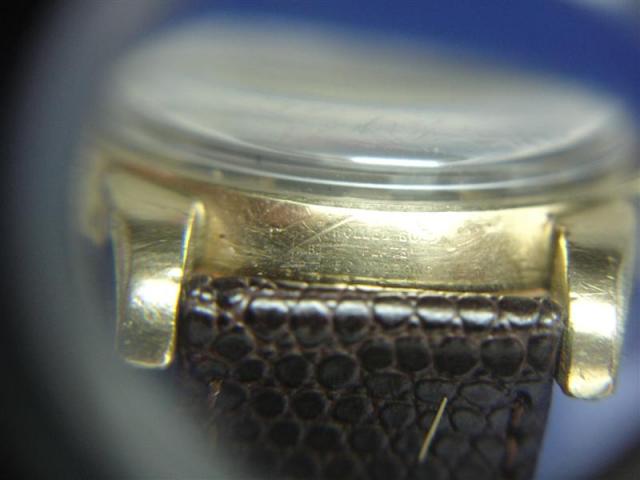 Name:  DSC01311 (Medium).jpg
Views: 407
Size:  27.3 KB