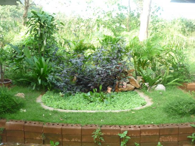 Name:  P1030569.jpg
Views: 228
Size:  71.4 KB