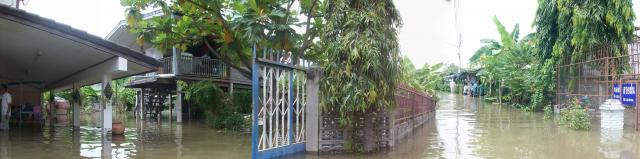 ʹҾҴ˭

Name:	101_0684.jpg
Views:	443
Size:	25.4 KB
ID:	2164280