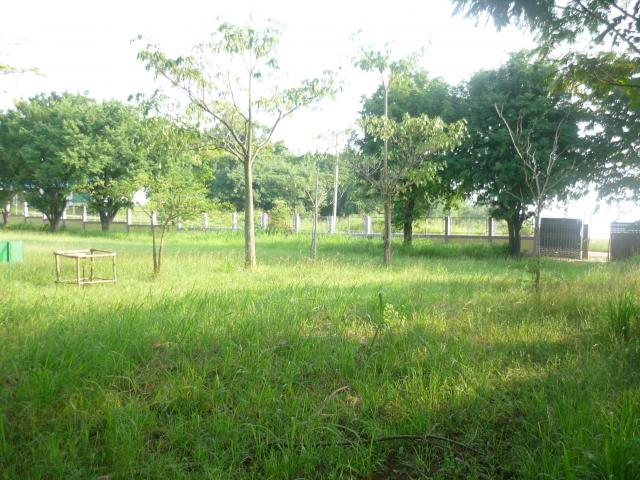 Name:  P1030581.jpg
Views: 251
Size:  67.0 KB