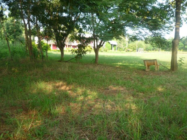 Name:  P1030582.jpg
Views: 244
Size:  74.1 KB