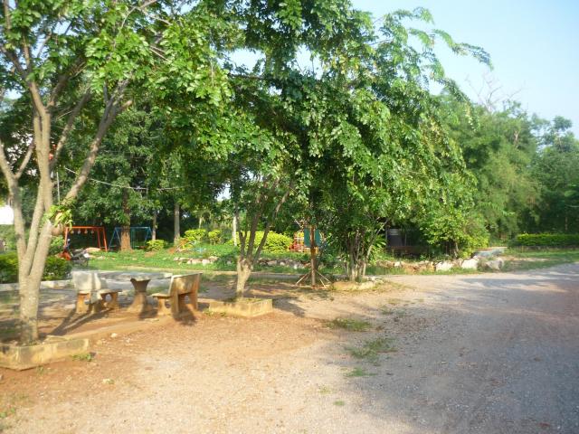 Name:  P1030586.jpg
Views: 223
Size:  78.1 KB
