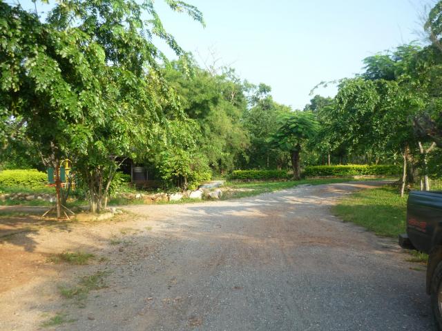 Name:  P1030587.jpg
Views: 215
Size:  68.1 KB