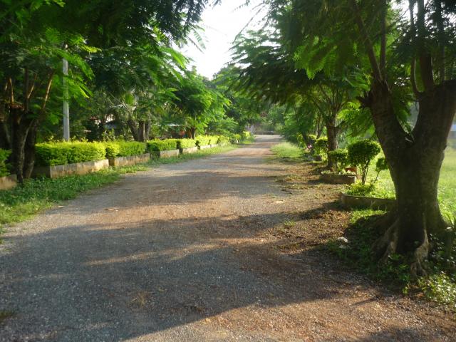 Name:  P1030589.jpg
Views: 257
Size:  67.5 KB