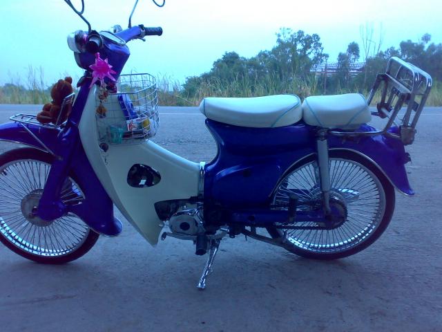 Name:  101.jpg
Views: 306
Size:  47.9 KB